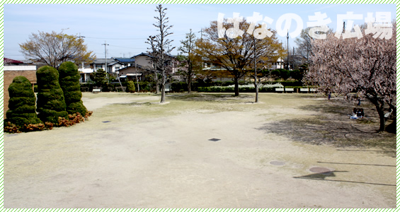 はなのき広場