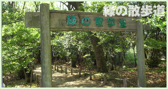緑の散歩道