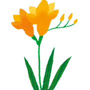 flower_freesia