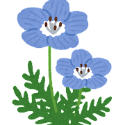 flower_nemophila