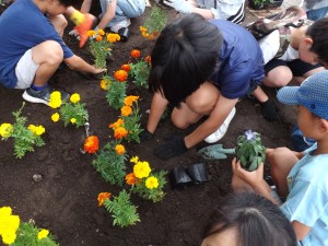 DSCF3645