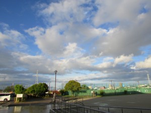 IMG_4533