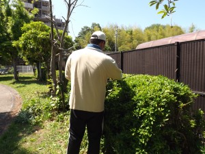 DSCF3568