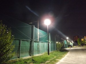 DSCF8005