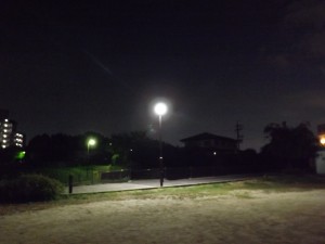 DSCF8007
