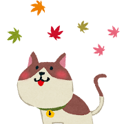 kouyou_cat