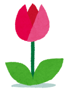 flower_tulip